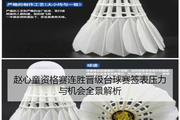 赵心童资格赛连胜晋级台球赛签表压力与机会全景解析